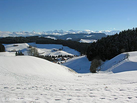 Foto:: Winterlandschaft Emmental (Foto,Fotos,Bilder,Bild,)