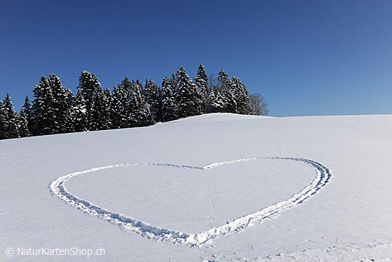 Foto:: Winterlandschaft mit Schneeherz (Foto,Fotos,Bilder,Bild,)