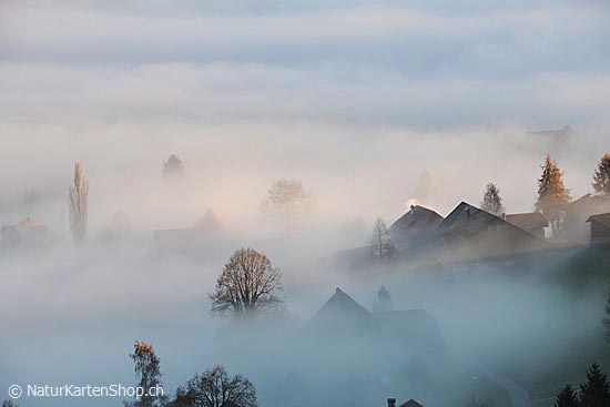 Foto:: Bauernhäuser an der Nebelgrenze (Foto,Fotos,Bilder,Bild,)