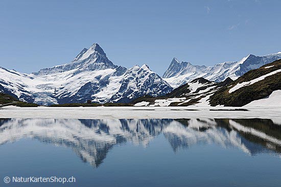 Foto:: Spiegelung im Bachalpsee (Foto,Fotos,Bilder,Bild,)