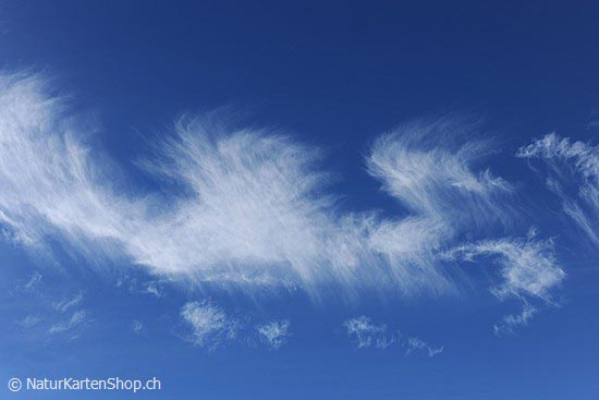 Foto:: Federwolken (Foto,Fotos,Bilder,Bild,)