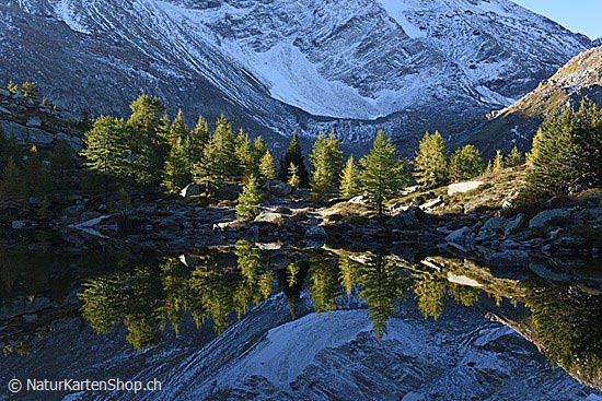 Foto:: Spiegelung / Streiflicht am Bergsee (Foto,Fotos,Bilder,Bild,)