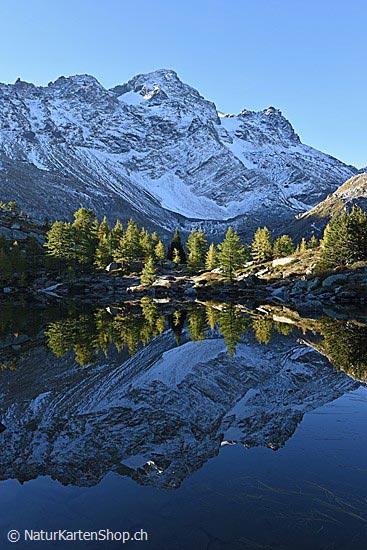 Foto:: Spiegelung / Streiflicht am Bergsee (Foto,Fotos,Bilder,Bild,)
