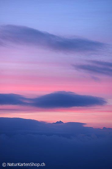 Foto:: Morgenstimmung mit feinen Farbtönen (Foto,Fotos,Bilder,Bild,)