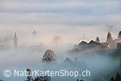 Foto F103201: Bauernhäuser an der Nebelgrenze