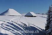 Foto F104644: Alphütten im Winter