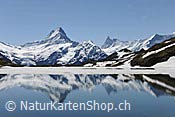 Foto F108219: Spiegelung im Bachalpsee