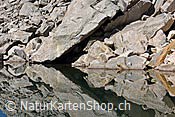 Foto F134884: Spiegelung
