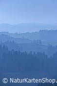 Foto F135814: Geländekonturen in einer Hügellandschaft